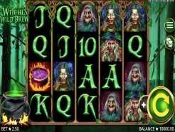Witches Wild Brew Slots